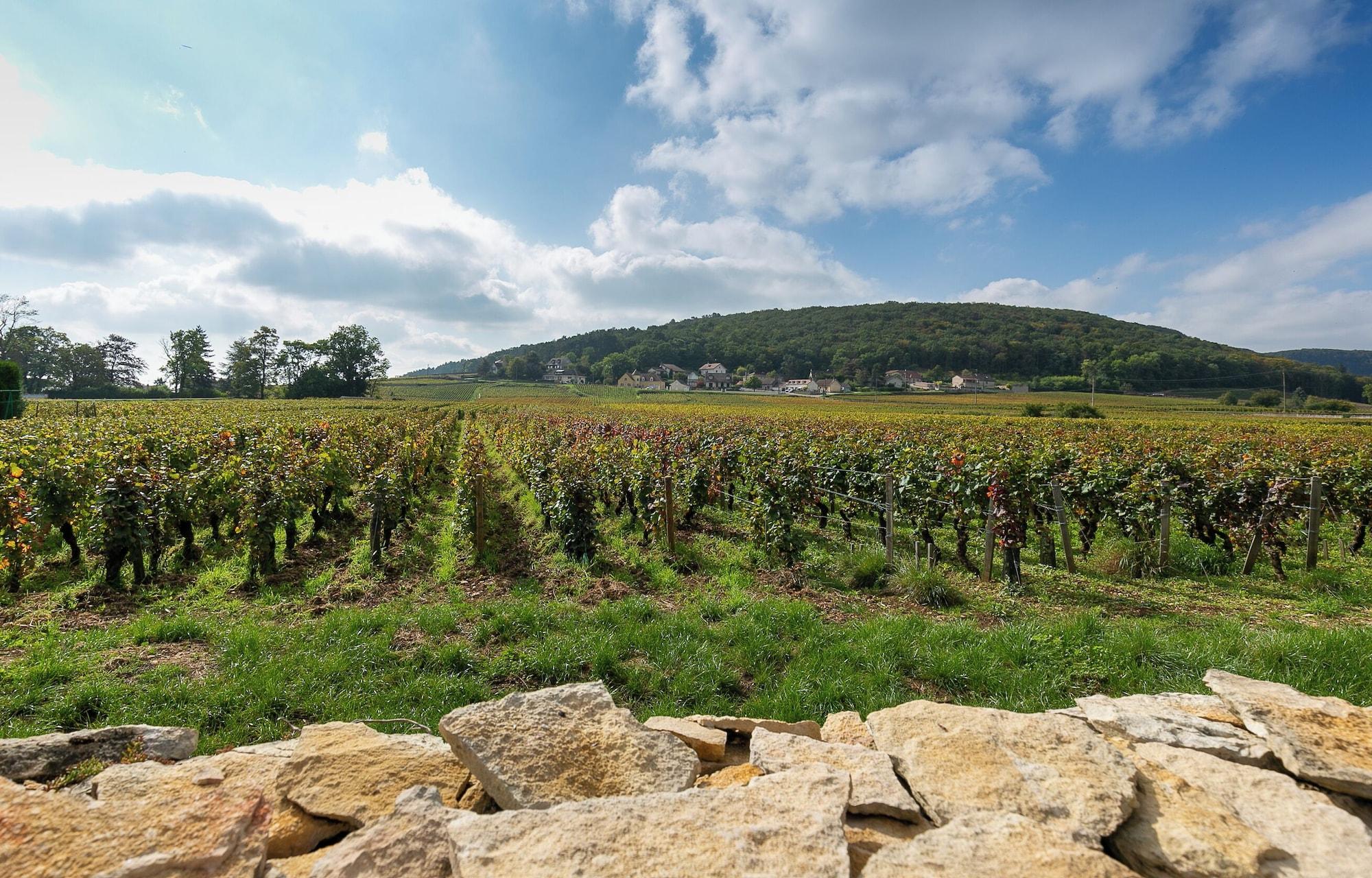 Vista Exterior Hotel Les Deux Chevres Gevrey-Chambertin