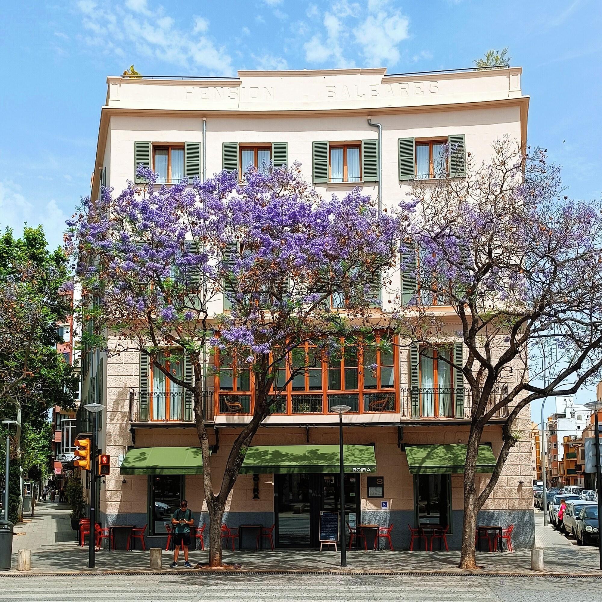 Vista Exterior Hotel Nou Baleares
