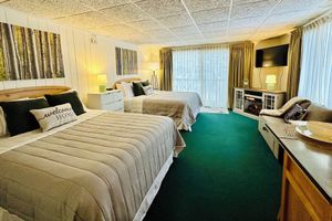 Alquiler Vacacional - Cozy 1-bedroom studio in Bellaire-Skiing, Tubing, Golf, Lakes!