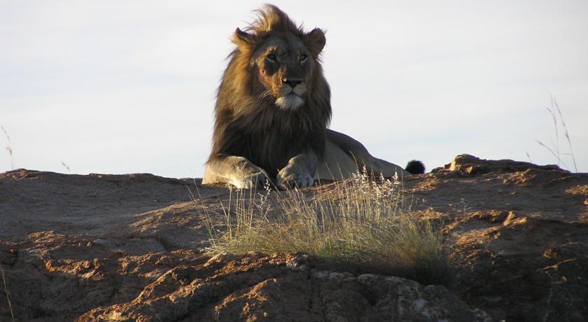 Instalaciones Recreativas Nkomazi Game Reserve by Newmark