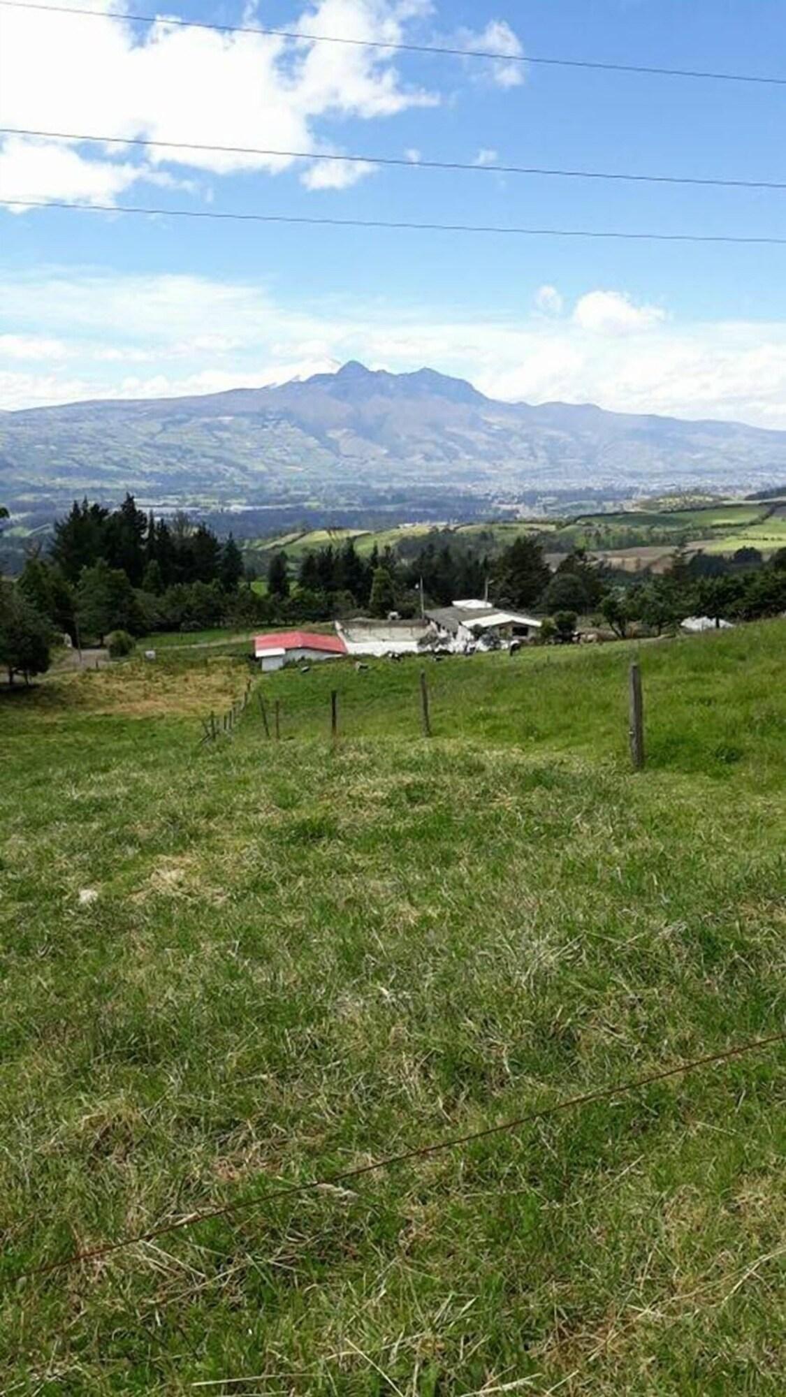 Equipamiento de Habitación Hostal El Mirlo