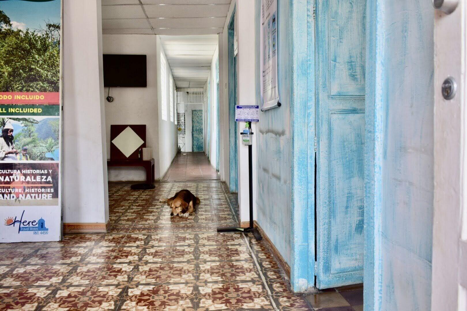 Vista Lobby MANGO TREE HOSTEL 4 20