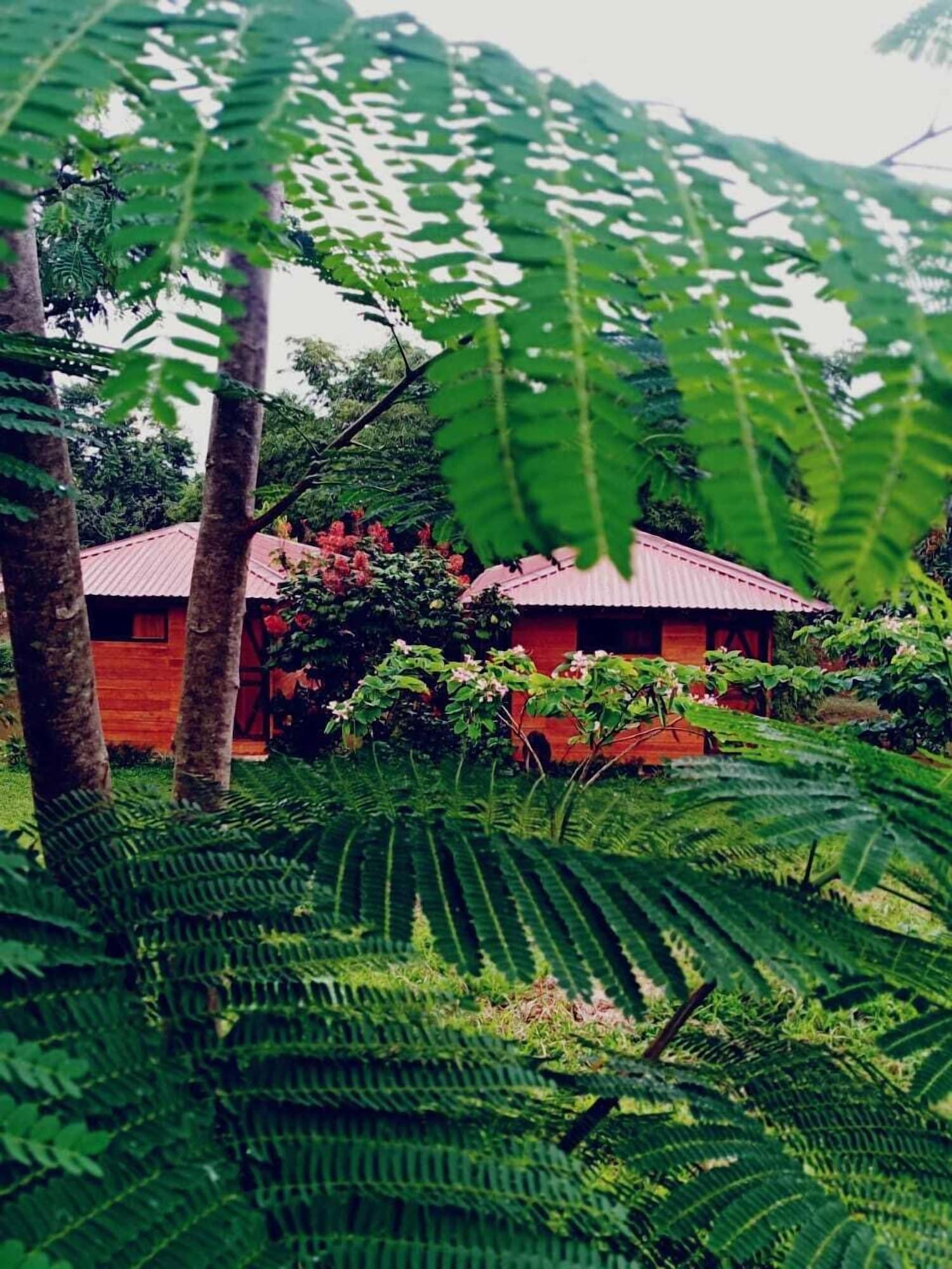 Restaurant Villa Rodeo Lodge