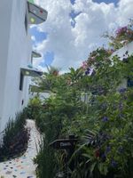 Alojamiento - Maison Bacalar
