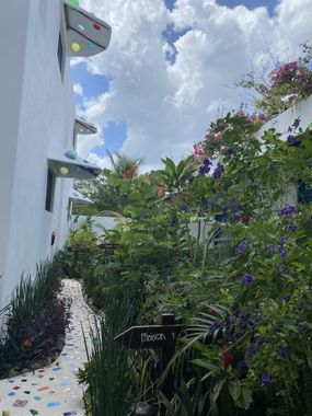 Maison Bacalar - Hoteles con desayuno en Bacalar, Quintana Roo