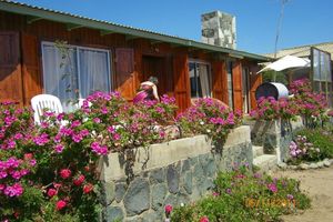 Arriendo temporal - House Pichidangui