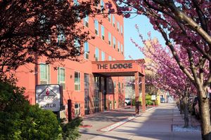 Alojamiento - The Lodge Red Hook