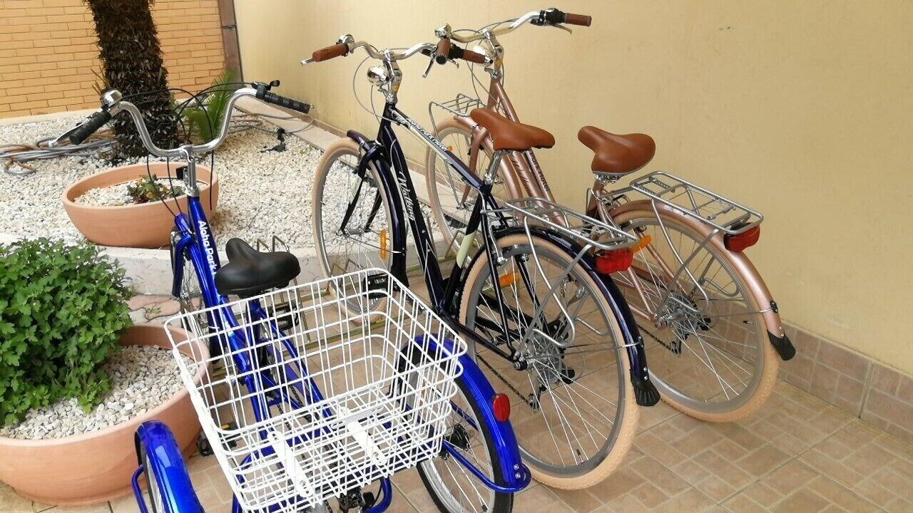 Varios Aloha Park Hotel