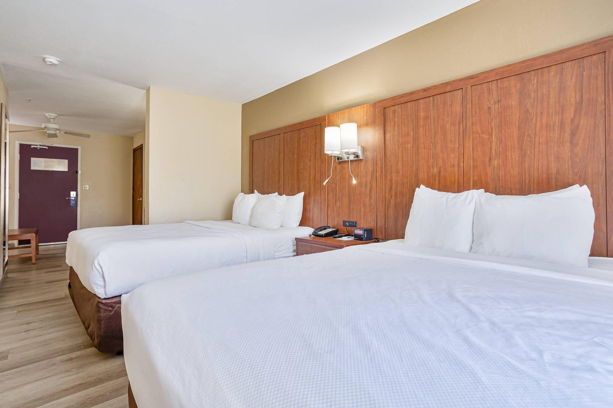 Habitación Comfort Inn & Suites Montgomery East Carmichael Rd