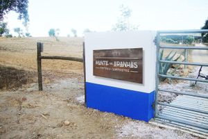 Alojamiento - Monte das Aranhas Wine Luxury