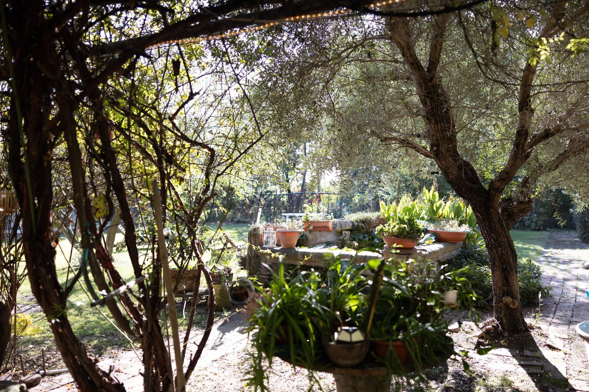 Vista Exterior Acetaia Malagoli Daniele e B&B