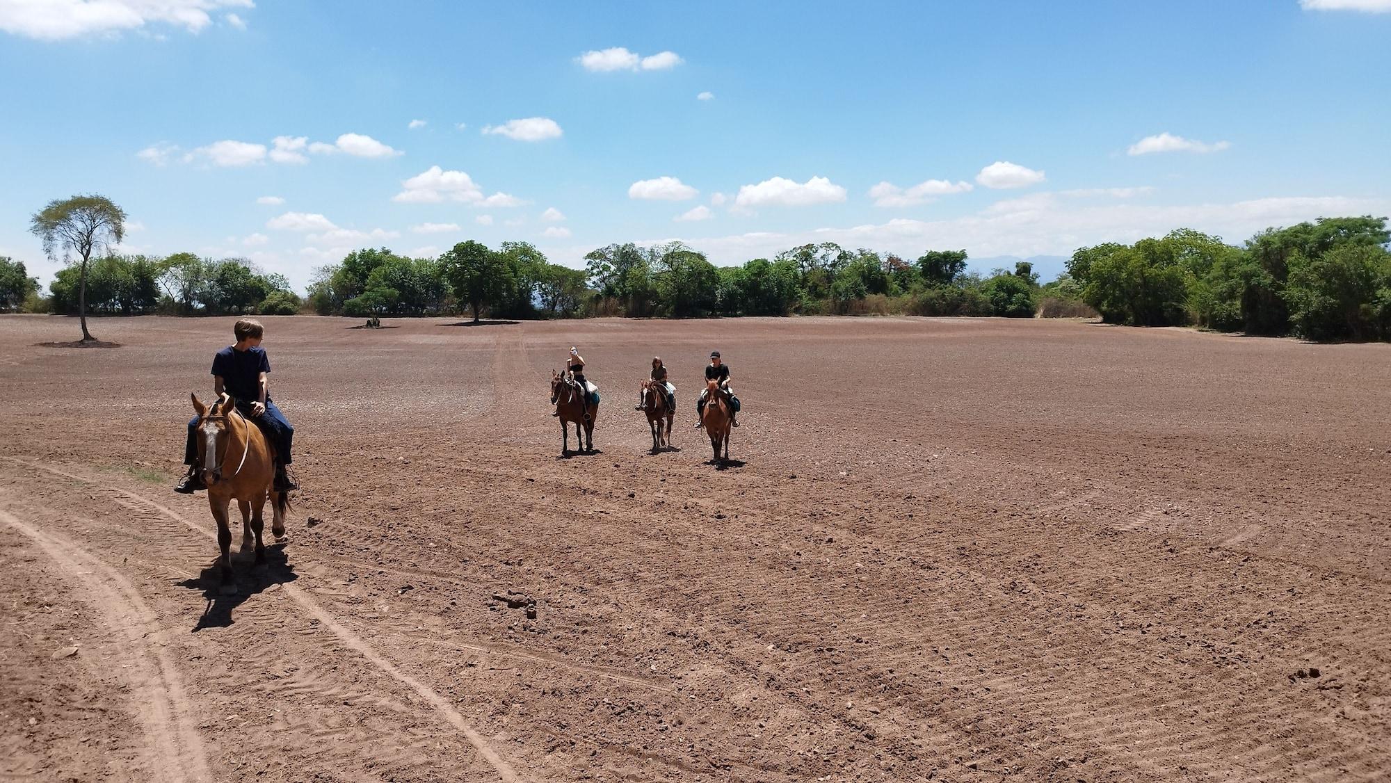 Instalaciones Recreativas Finca Las Margaritas