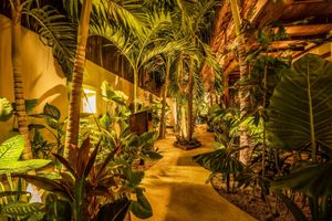 Alojamiento - Hotel Boutique TerraNova