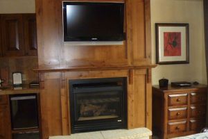 Renta temporal - Studio Condo in the Heart of Aspen