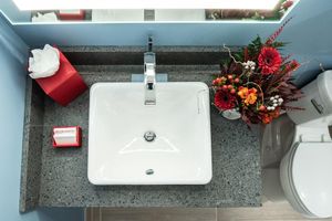 Alojamiento - The Alder at Resorts World Catskills