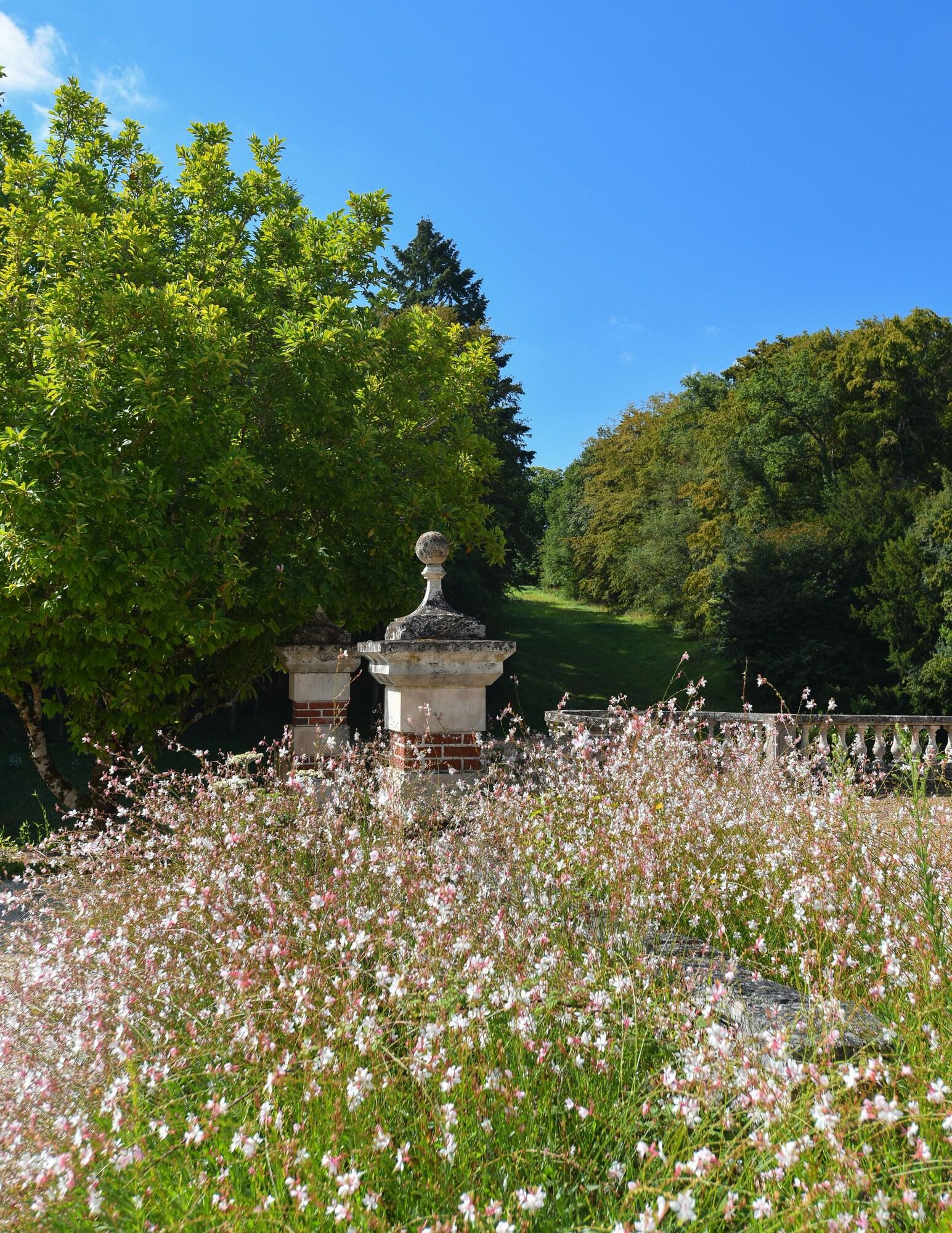 Vista Exterior Château de la Huberdière
