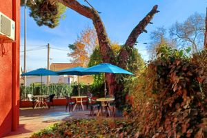 Alojamiento - C&H Aravaca Garden