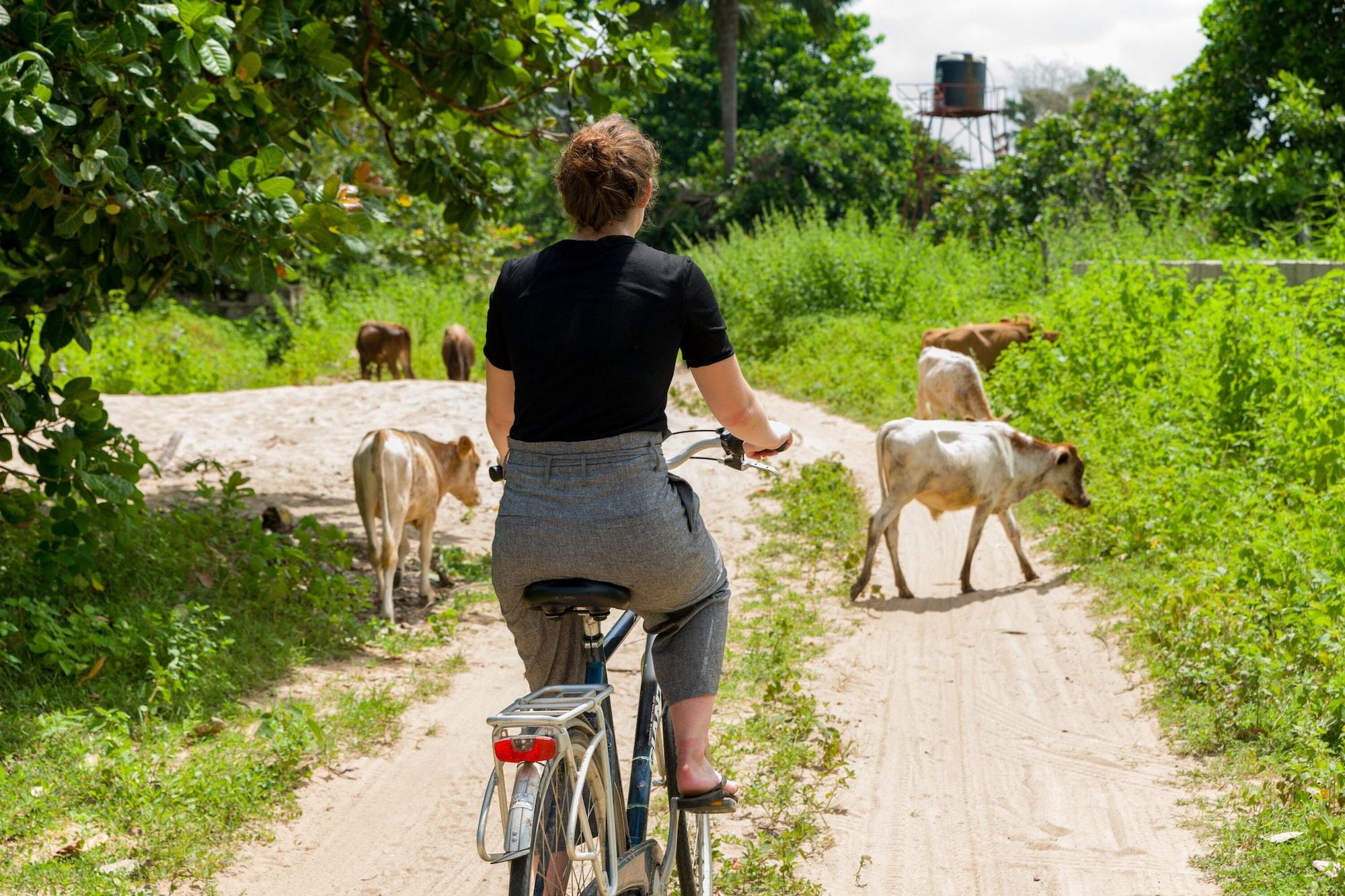 Varios Tamba Kuruba Eco lodge