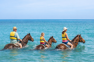 Actividad - Seville Sunset Horseback Ride 'N; Swim