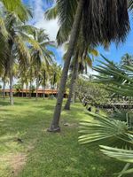 Alojamiento - Pousada Rancho do Buna