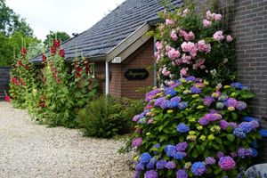 Alojamiento - De Heerlijkheid Ruinerwold