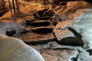 Alquiler Vacacional - Vue du Jacuzzi~du lit King~un Luxe Sauvage Unique