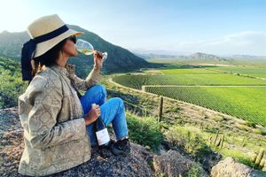 Alojamiento - Casa de Huéspedes Chañarmuyo