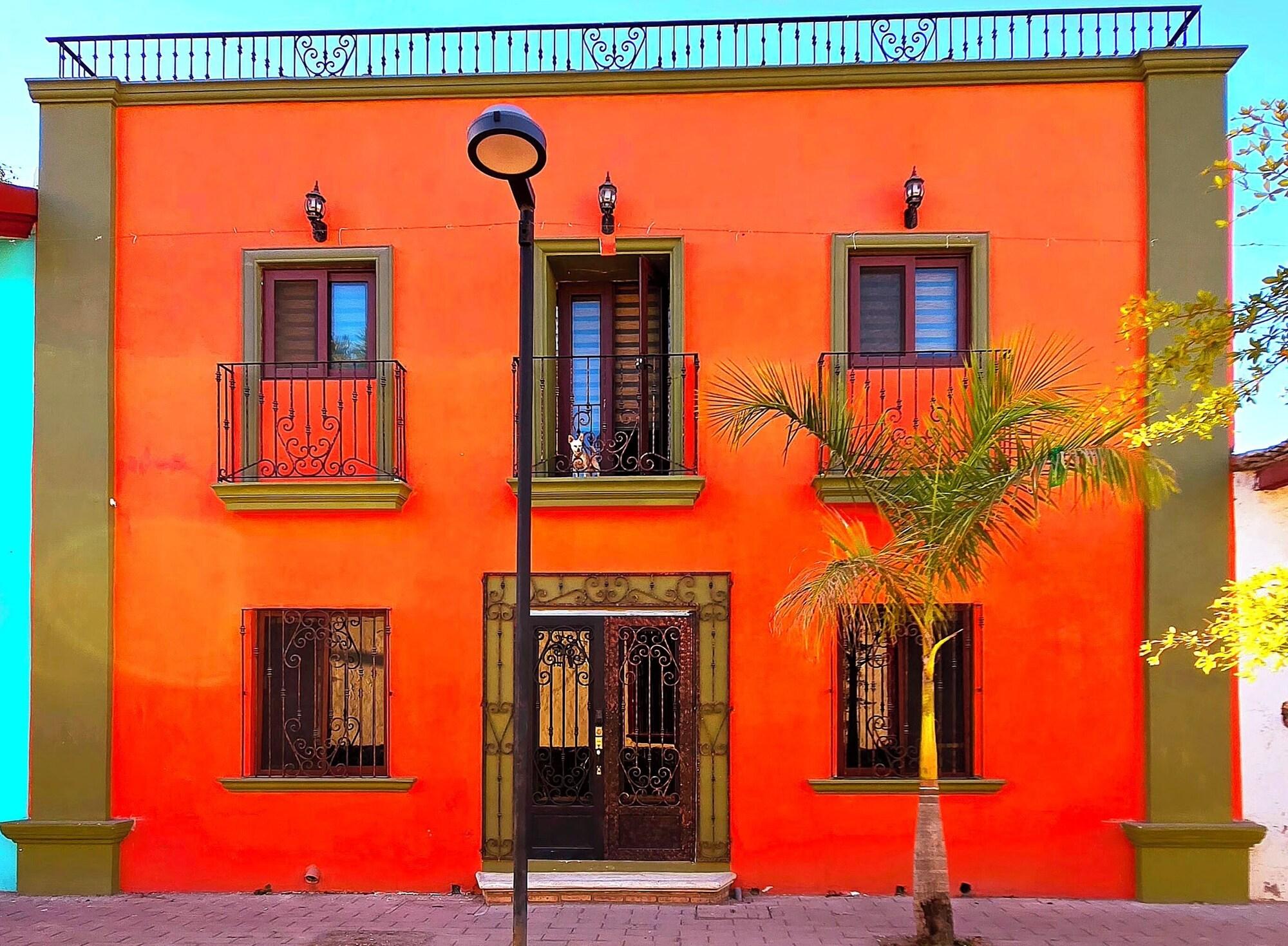 Varios Casa del Arbol