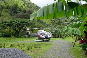 Actividad - Experiencia en la selva tropical de Hana
