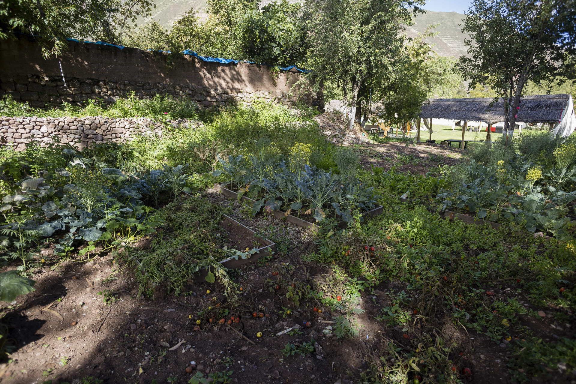 Instalaciones Recreativas The Sacred Valley Lodge - Hotel Cusco - Hostel