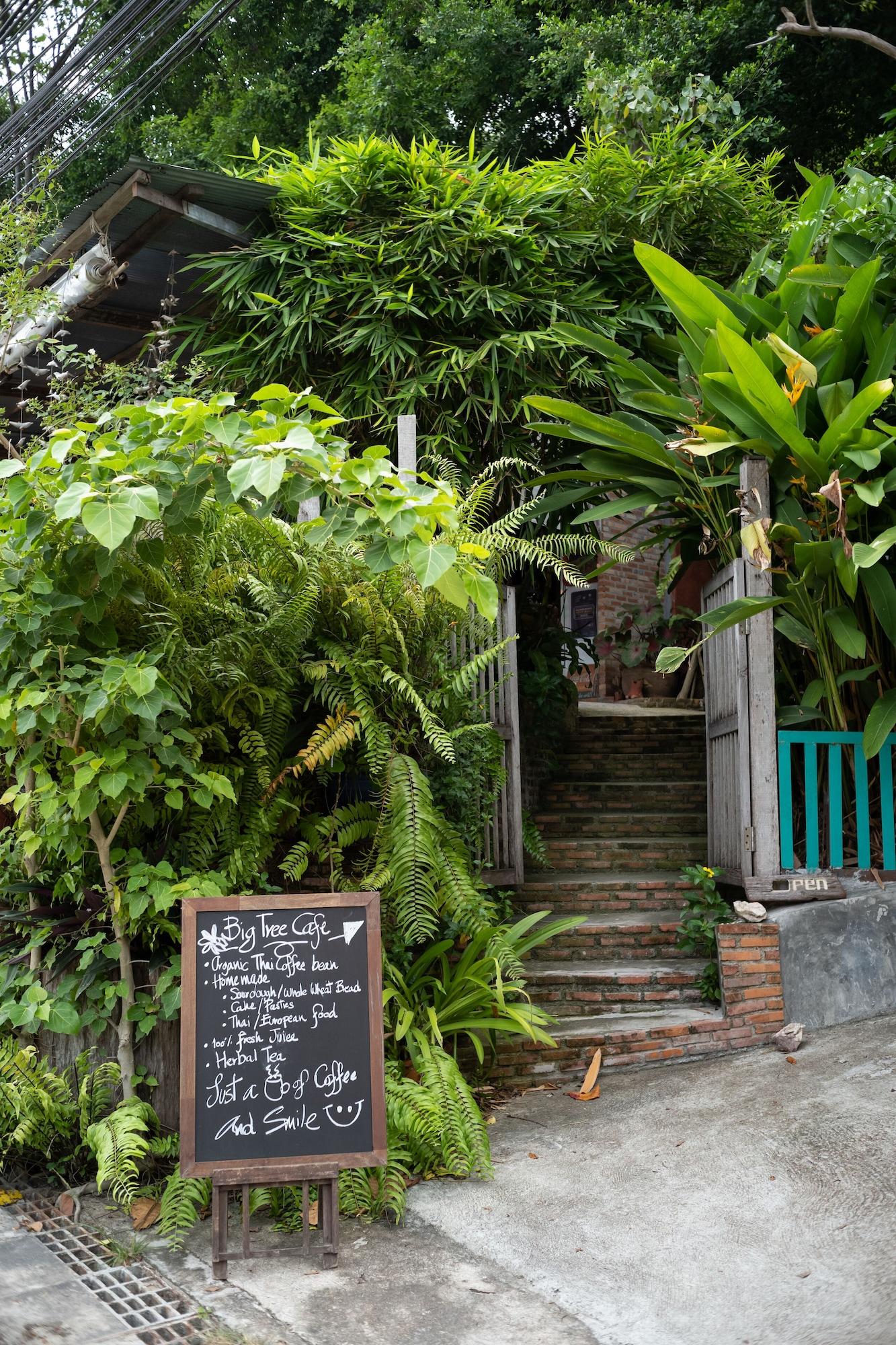 Vista Exterior Big Tree Boutique Hotel