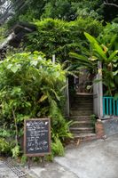 Alojamiento - Big Tree Boutique Hotel