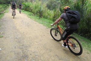 Actividad - Descubre el arte callejero del Graffiti en bicicleta – Tour de medio día