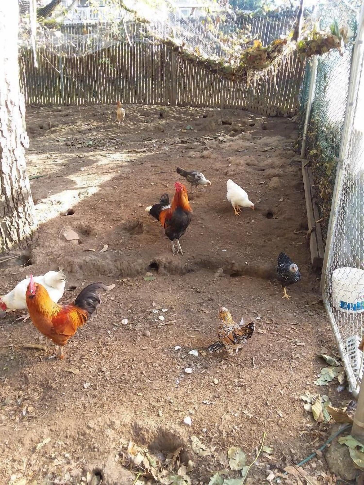 Instalaciones Recreativas Scott Creek Farm