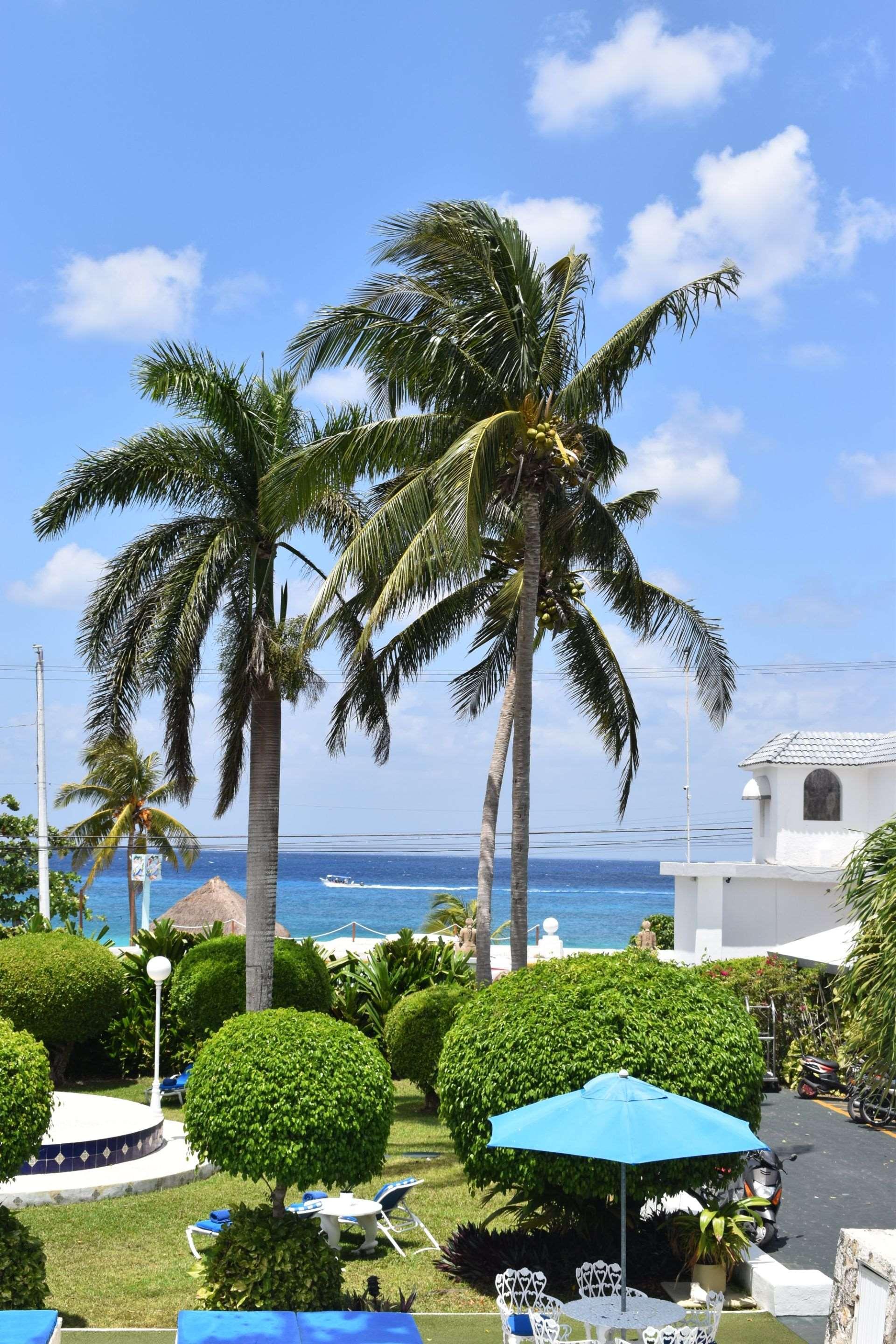 Vista Exterior Villablanca Garden Beach Hotel