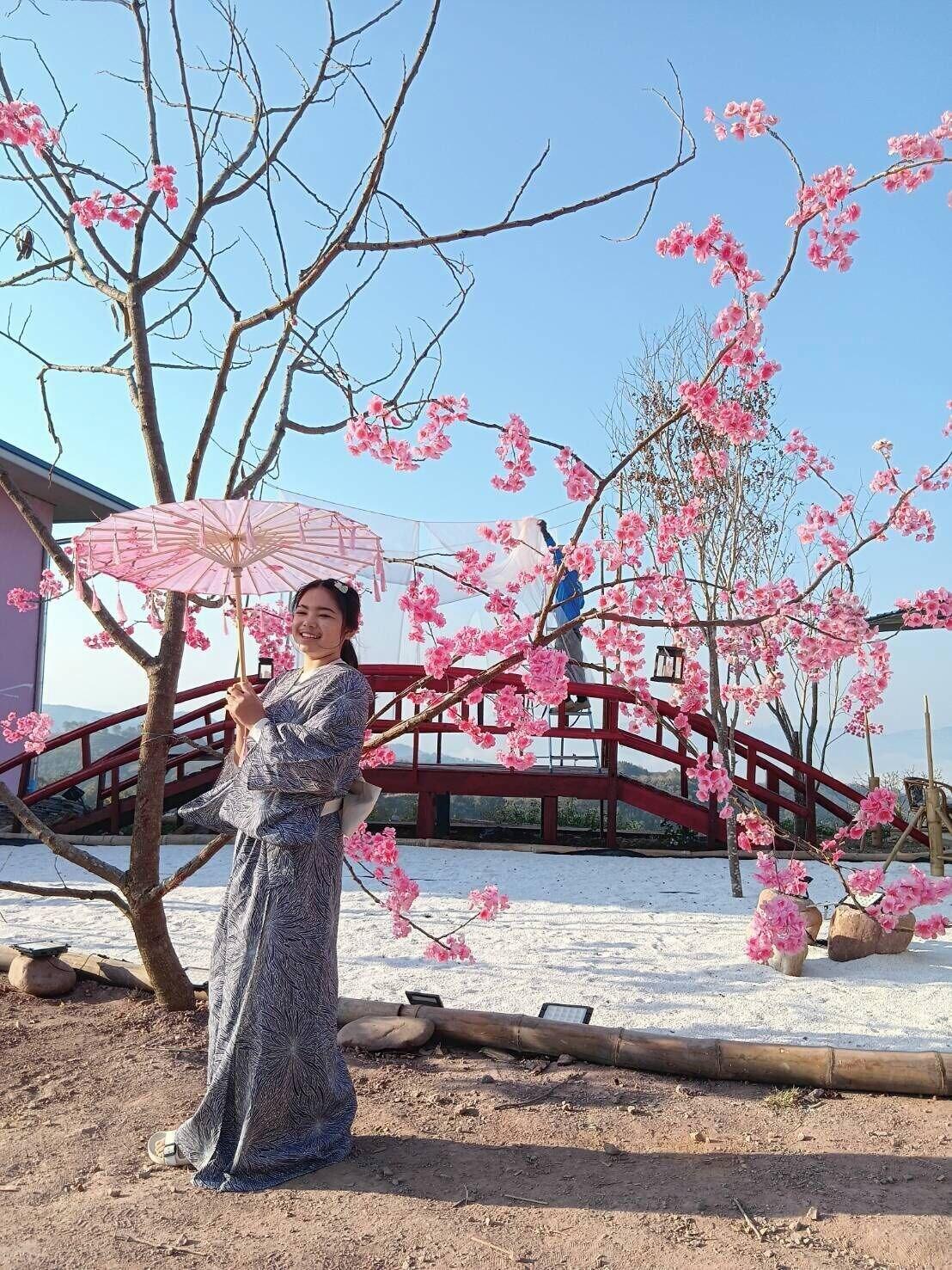 Varios PHUTAWAN NAN 1081