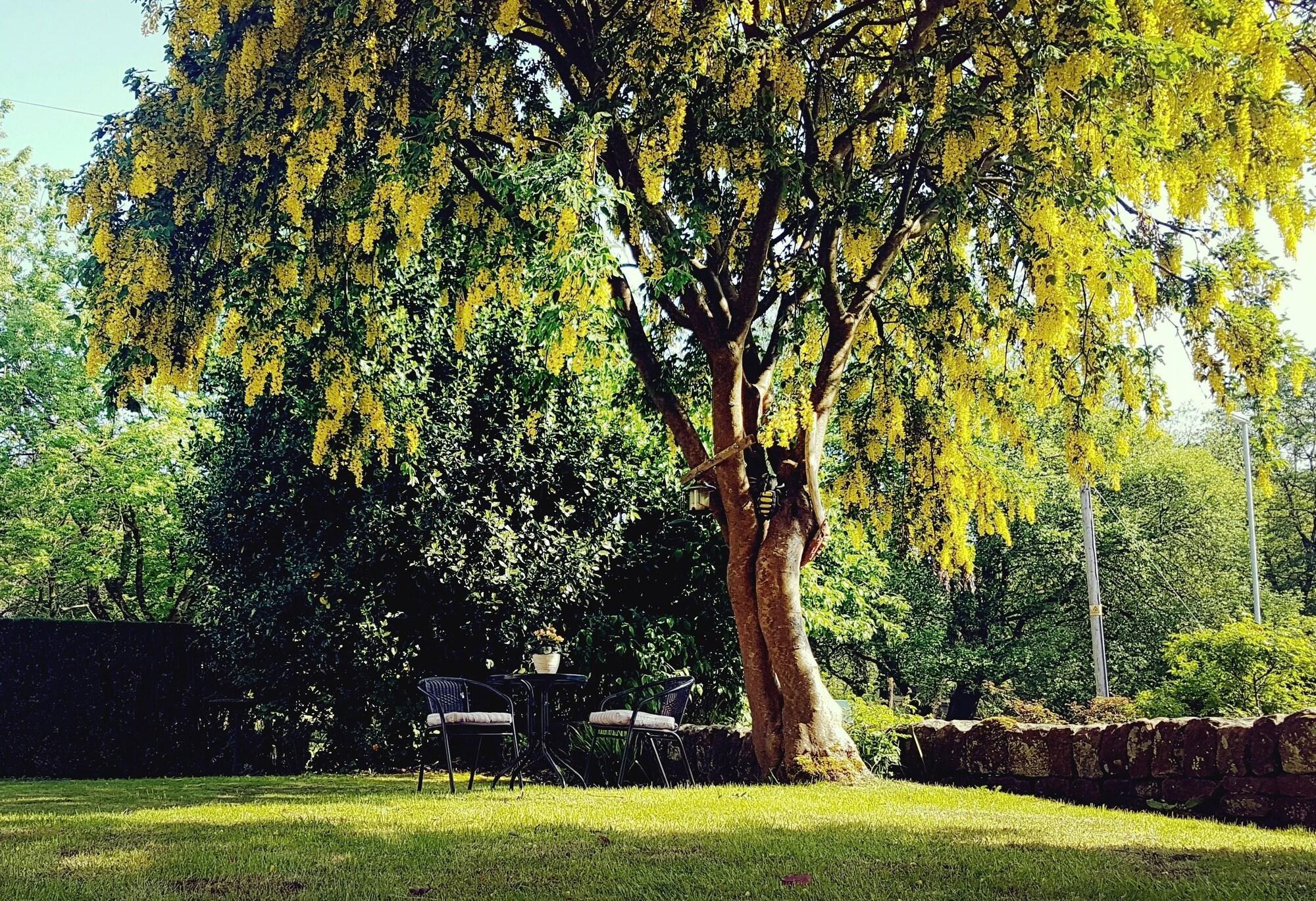 Vista Exterior The Beehive Guest House