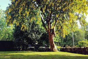 Alojamiento - The Beehive Guest House