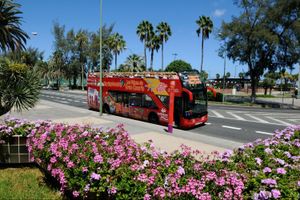 Actividad - Bus turístico Hop-on Hop-off Las Palmas