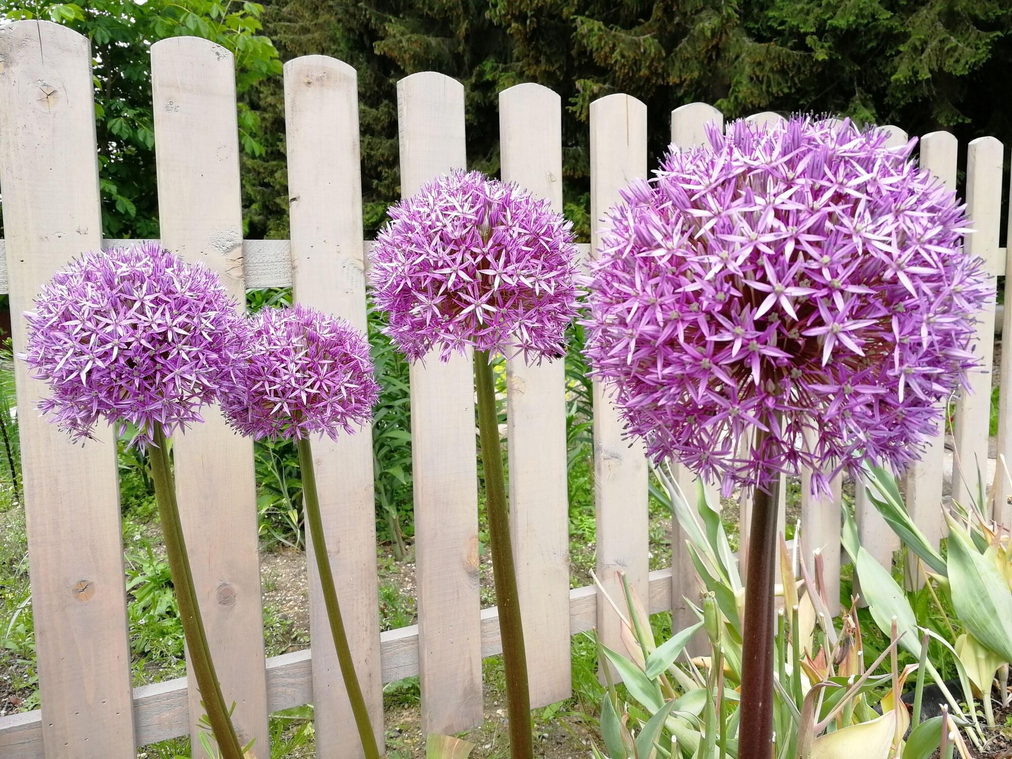 Vista Exterior Penzion Bílá voda