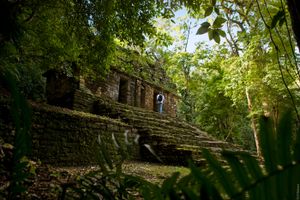 Actividad - Tour Selva Lacandona, Yaxchilán y Bonampak