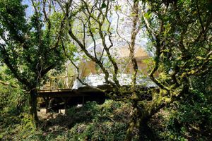 Alojamiento - Fernwood