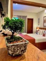 Alquiler Vacacional - Paulo Diniz