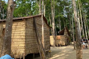 Actividad - Bellezas de Río Negro
