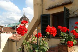 Renta temporal - Breathtaking view, terrace and elevator