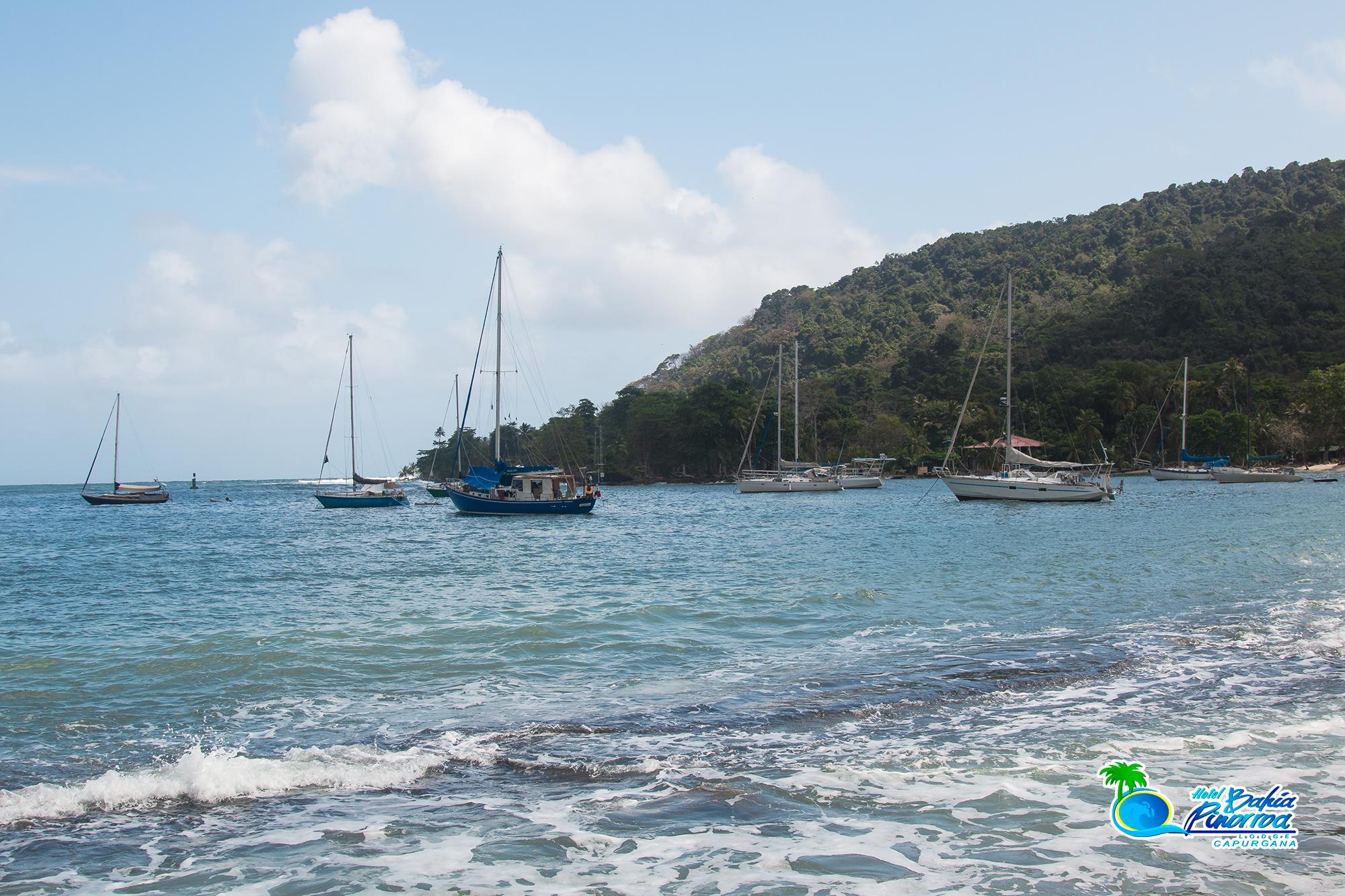 Playa Hotel Bahía Pinorroa