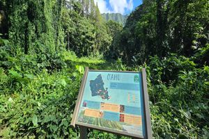 Actividad - Hawaiian Waterfall Hike - Half-Day Tour