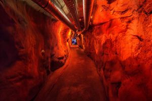 Actividad - Entrada al Museo Fort De Chillon