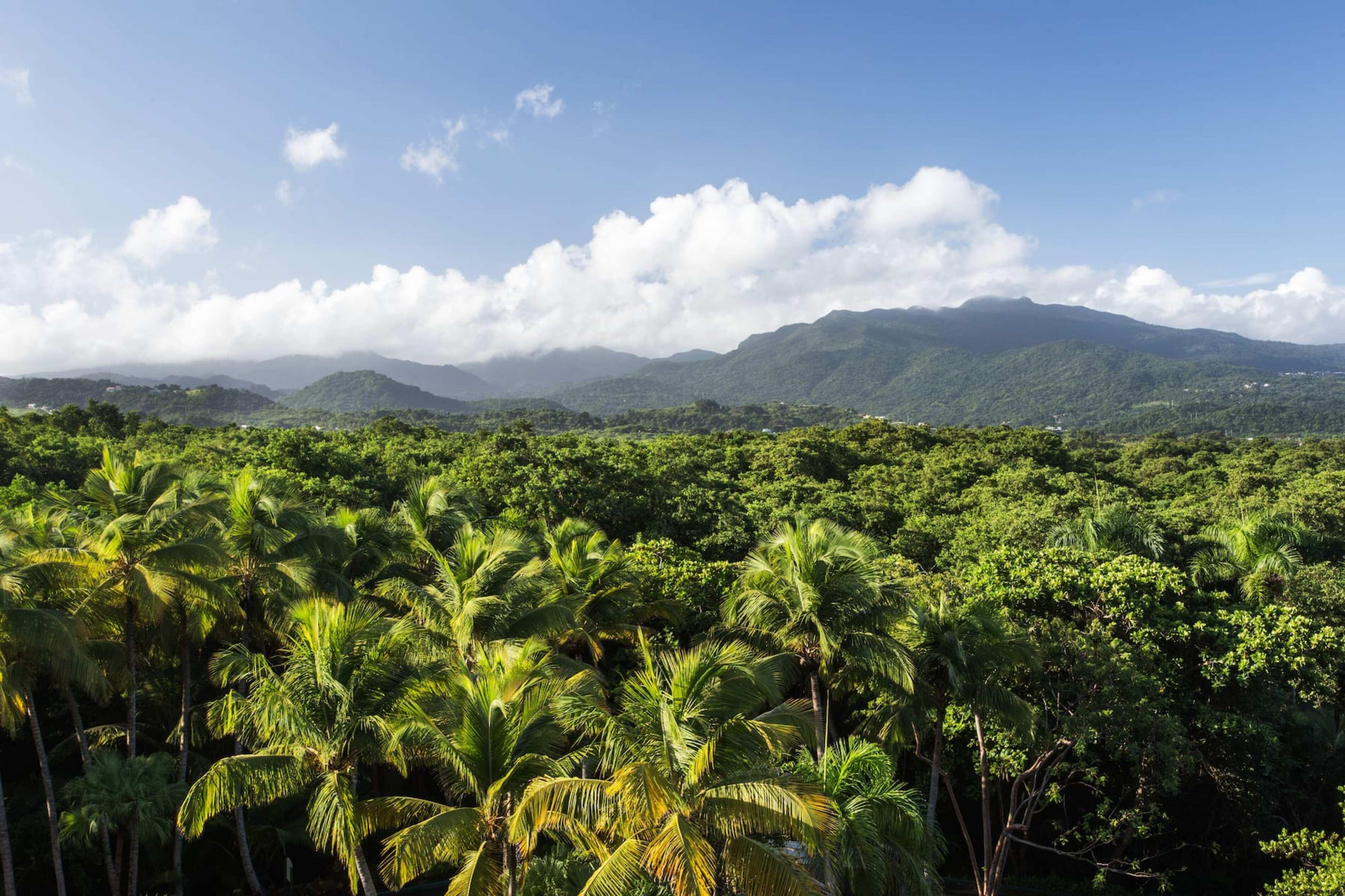 Vista Exterior Wyndham Grand Rio Mar Rainforest Beach and Golf Resort