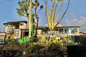 Alojamiento - Hotel El Mirador del Cocora